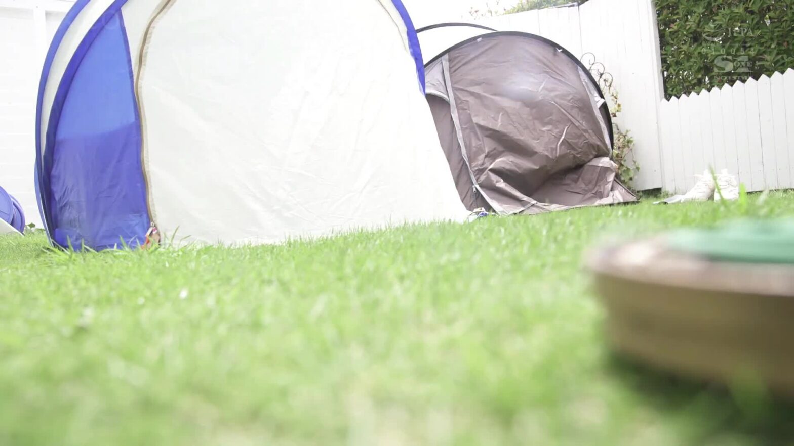 Idol tập vũ đạo bị huấn luyện viên đâm lồn từ sau, rên xin xuất tinh inside